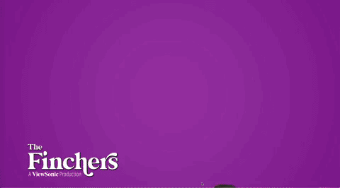 Meet the Finchers — animated social asset.